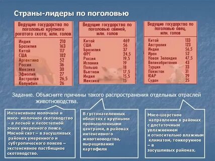 Главные страны производители сельского хозяйства