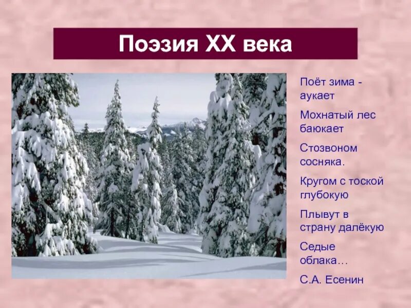 Выписать глаголы из стихотворения поет зима аукает. Есенин мохнатый лес. Поёт зима аукает Есенин. Стихотворение поёт зима аукает. Поёт зима аукает мохнатый лес баюкает.