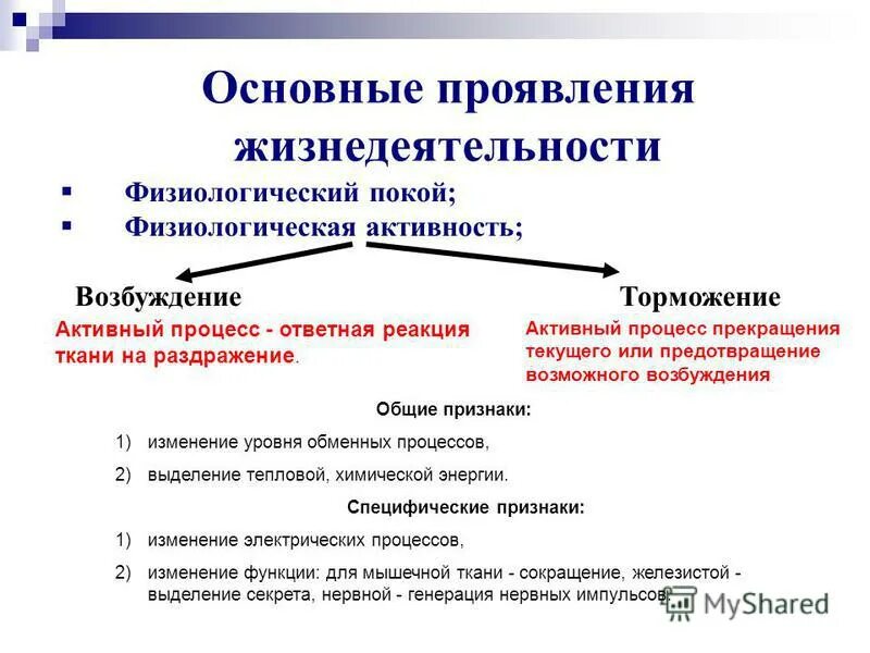 важнейшие физиологические процессы. важнейшие физиологические процессы. физиологические основы функций. основные физиологические термины. цели изучения физиологии.