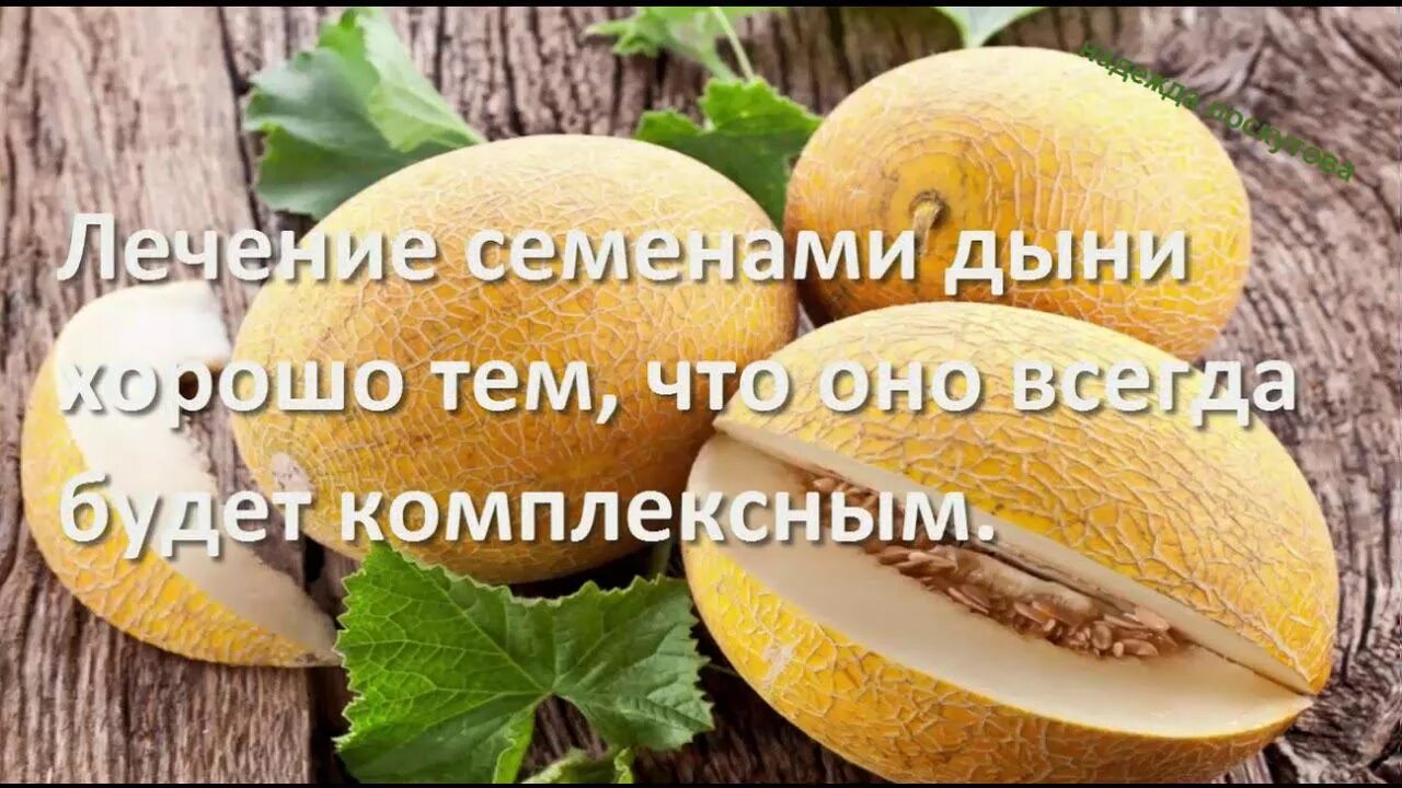Семена дыни. Чем полезна дыня. Дыня полезная для организма. Семена дыни польза для здоровья человека. Семена дыни.