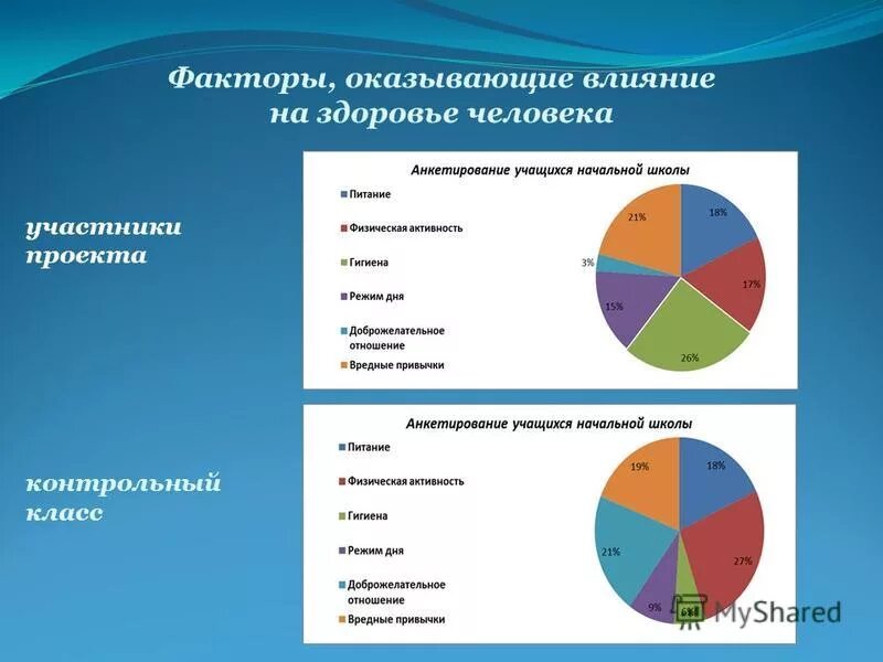 Наибольшее влияние на организацию оказывают