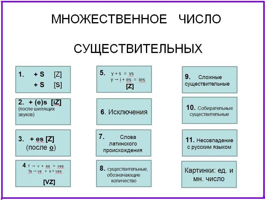 Формы существительных в английском языке. Множественное число имен существительных в английском. Образование множественного числа существительных в английском языке. Множественное число имен существительных в анг языке. Как образуется множественное число в английском языке.