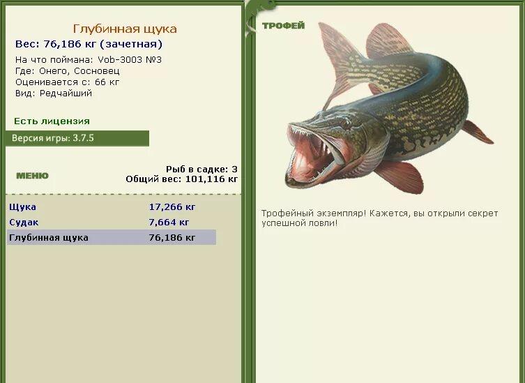 где ловить щуку. где ловить щуку. щука на спиннинг. рыбак с щукой. места ловли щуки на реке.