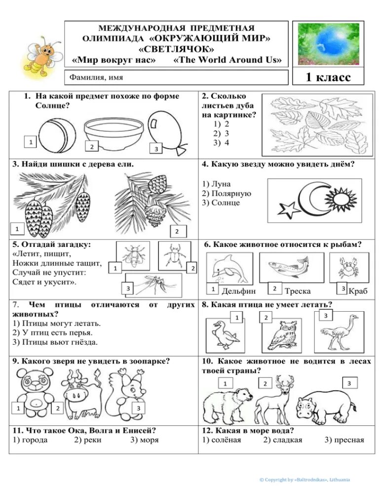 Задания по олимпиаде окружающий мир 1 класс. Заданияпт окружающему миру для 1 класса.