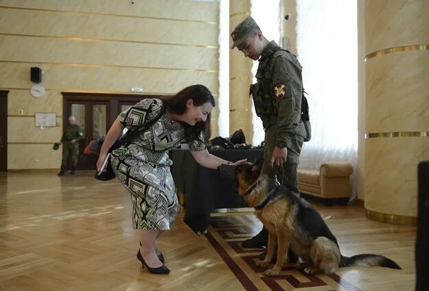 Приказы кинолога. Кинологический центр Тюмень.