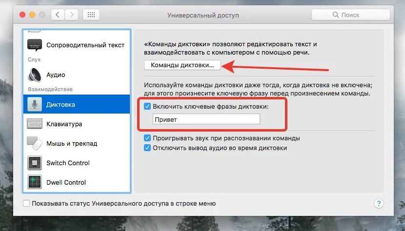 Как включить диктовку на компьютере. Как включить голосовой ввод на макбуке. Голосовая команда на компьютере. Как включить диктовку в Siri.