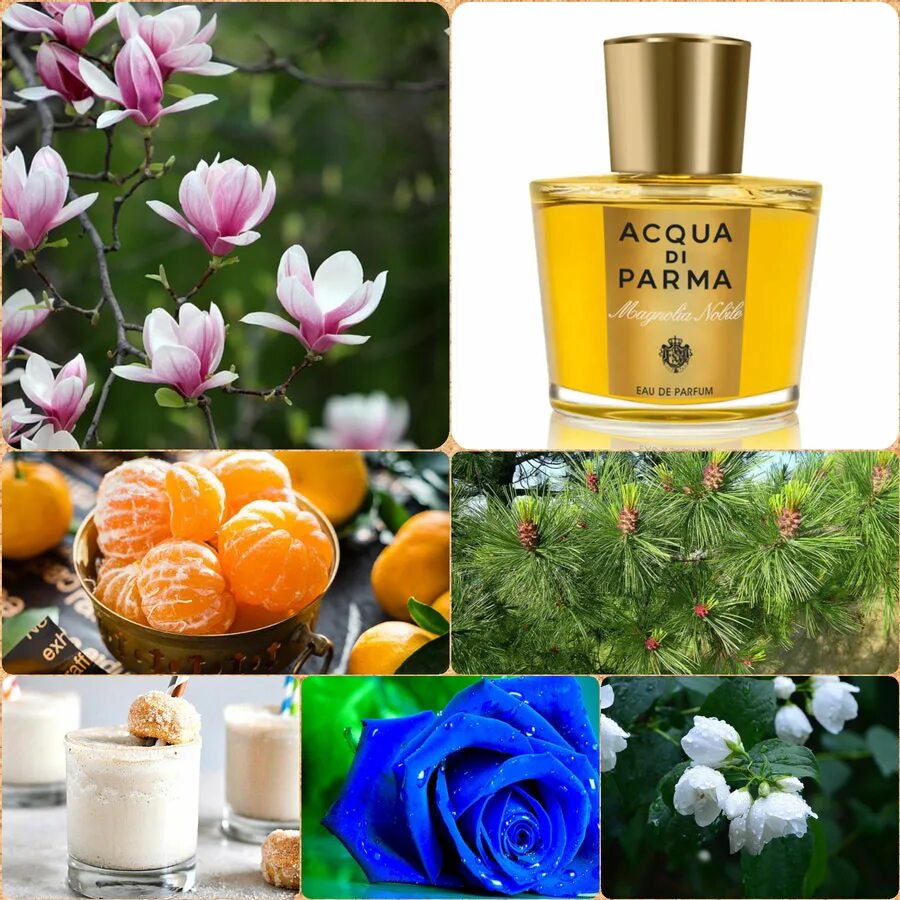 Acqua di parma magnolia. Магнолия Нобиле. Парфюм Парма Магнолия. Аква Магнолия духи. Букет ароматов enjoy.