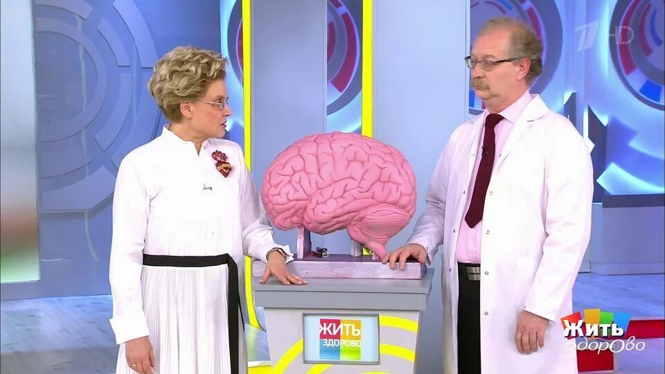 Показать программу малышевой