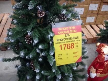 Елки в ленте живые