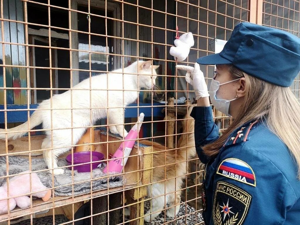 Приют животных посетить. Приют для бездомных животных печатники, москва. приют для собак печатники. благотворительная акция для животных приюта. сотрудники приюта для животных.