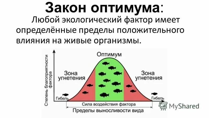 Приспособления организмов к влиянию экологических факторов