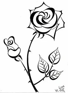Rose line