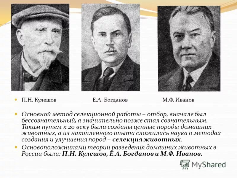 Известные учёные селекционеры. Ученый-селекционер пустовойт в. Иванов михаил федорович селекционер достижения. Учёные селекционеры и их достижения. С.