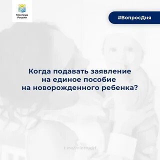 Какого числа подавать заявление на единое пособие