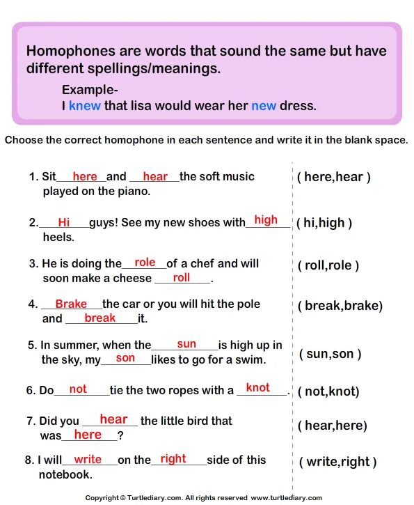 Choose the correct category for each word