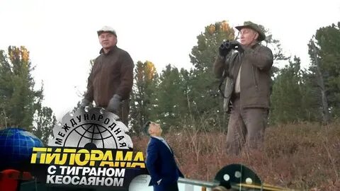 Сегодняшняя пилорама