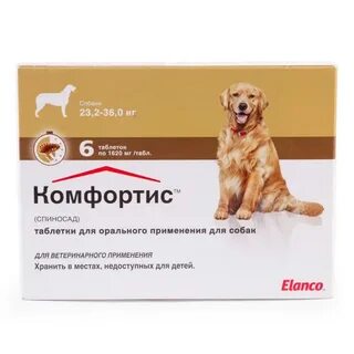 Простатит у собак