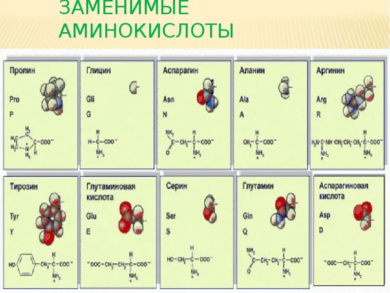 Аминокислоты. Заменимые аминокислоты. Заменимые и незаменимые аминокислоты. Аминокислоты формулы. Сколько всего аминокислот