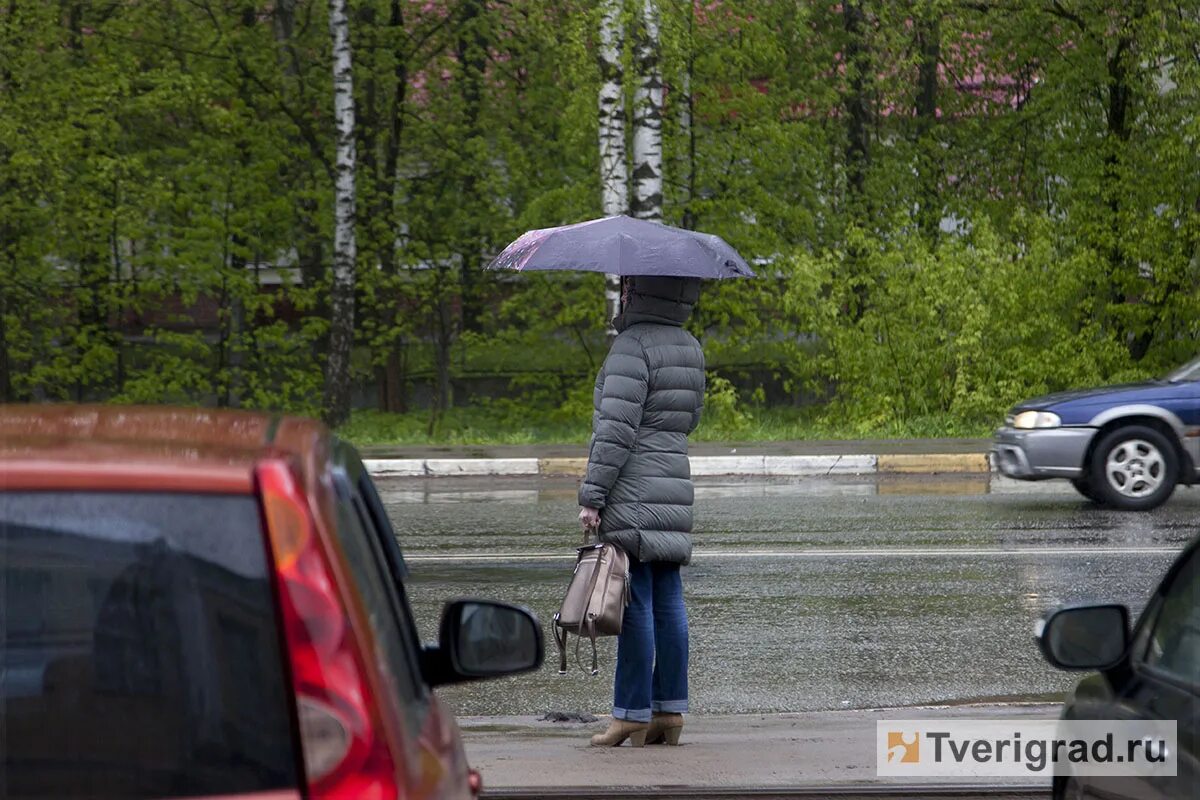 Завтра сильный будет. Сильный дождь. Дождь в Твери. Завтра сильный дождь. Когда будет дождь.