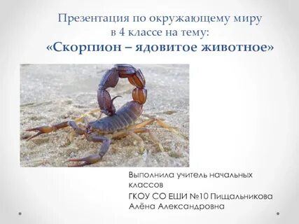 Скорпион пишет