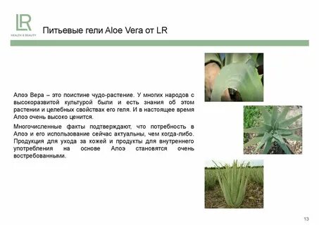 Текст алоэ