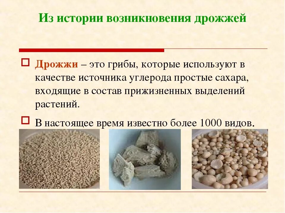 Какого значение дрожжей в жизни человека назовите
