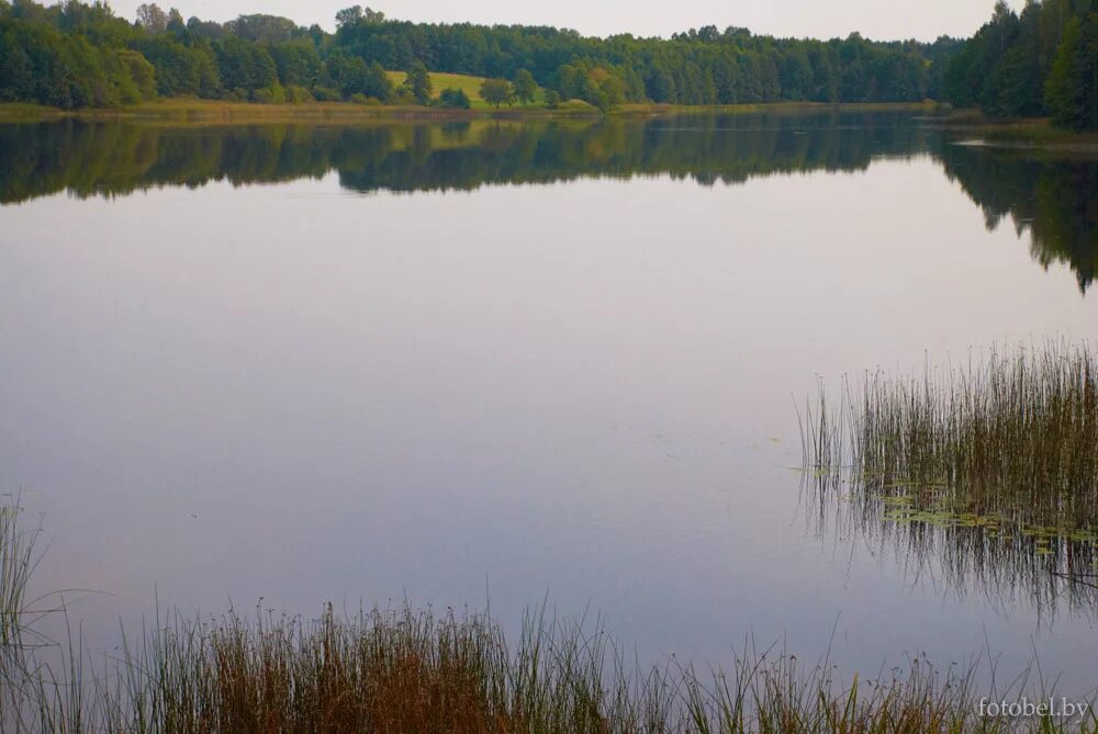 река близко. ближайшая речка. река сурень. озеро с камышами. стоячий водоем.
