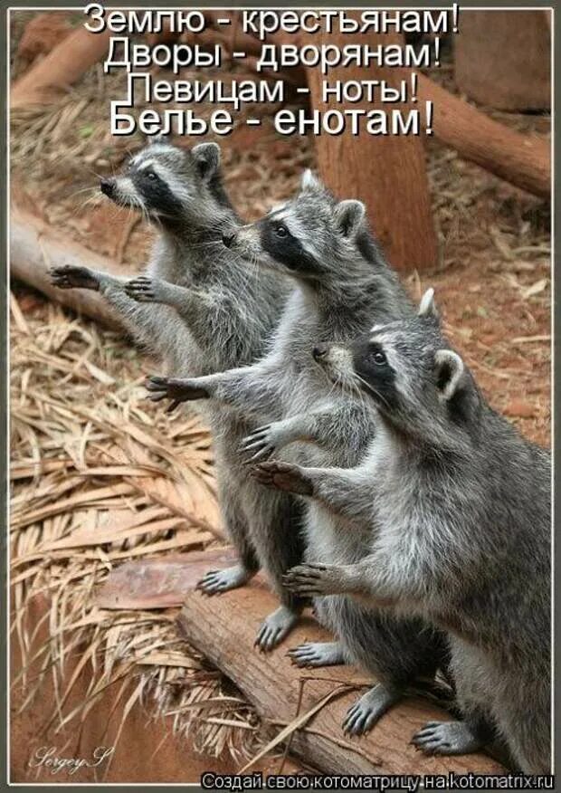 Что нибудь очень хорошее