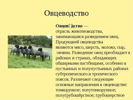 Отрасль животноводства занимающаяся разведением