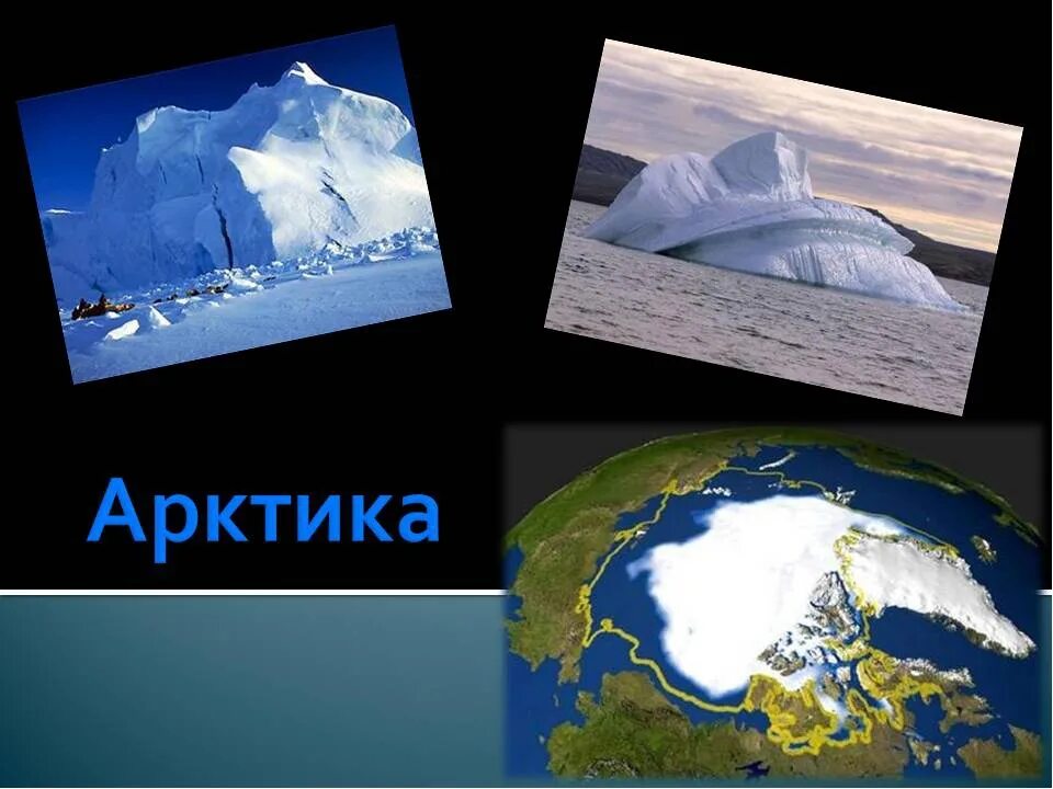 Животные арктики и антарктиды. Макет арктики. Арктика для дошкольников. Арктика и антарктида. Презентация арктика и антарктика для дошкольников.