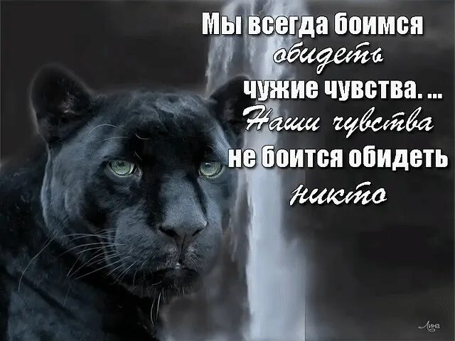 Всегда боялась. Мы всегда боимся обидеть чужие чувства наши чувства. Я всегда боюсь обидеть чужие чувства. Мы всегда боимся обидеть чужие. Мы не боимся обидеть чужие чувства наши боится никто.