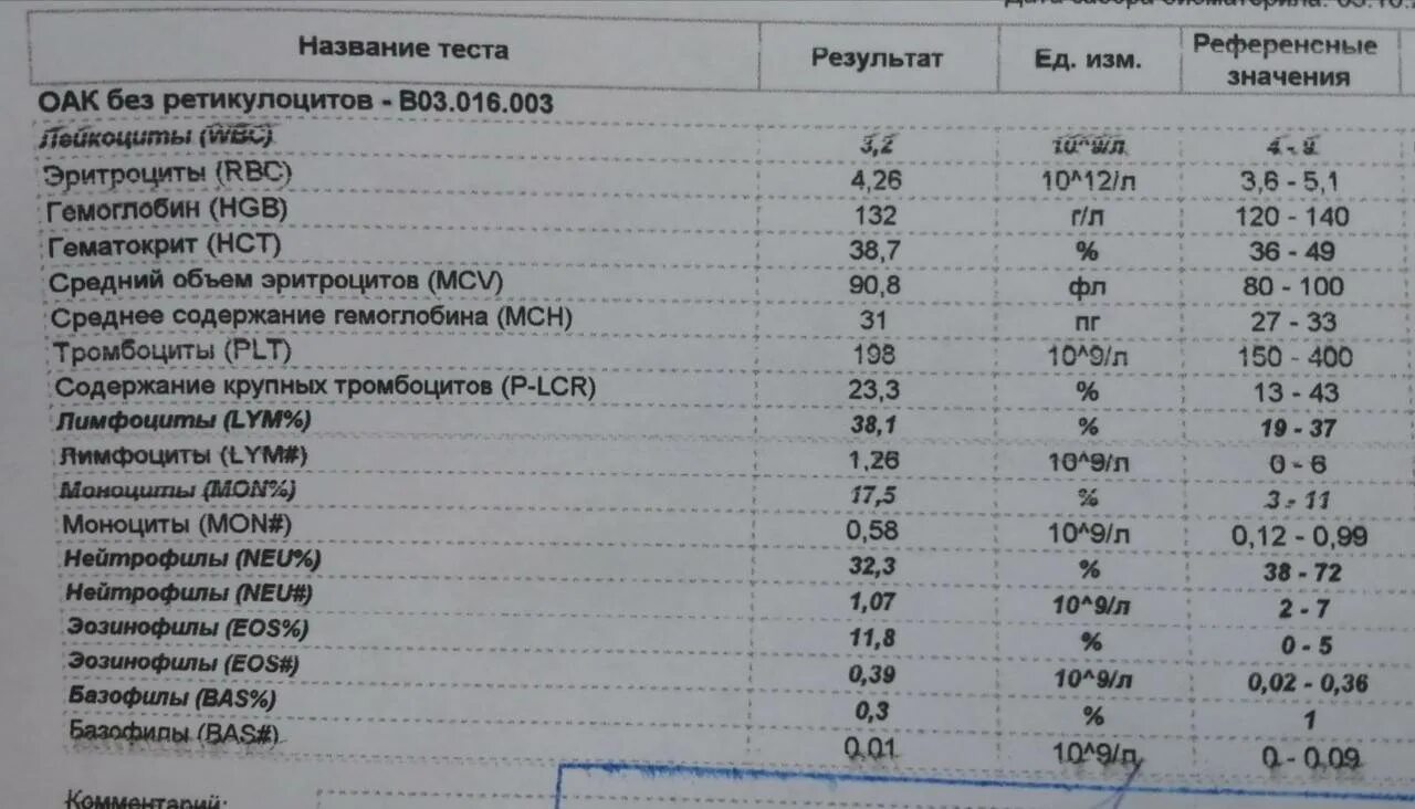 Анализ крови при лейкопении показатели. Лейкоциты в крови. Показатели лейкоцитов у кошки. Показатели лейкоцитов в крови.