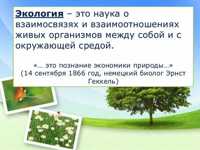 Дать определение науки экологии