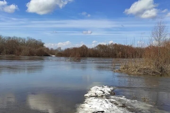 Ока река Рязань разлив. Рязань разлив 2021. Половодье река Ока Рязань. Разлив реки Оки в Рязанской области.
