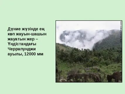 Ең ылғалды жер
