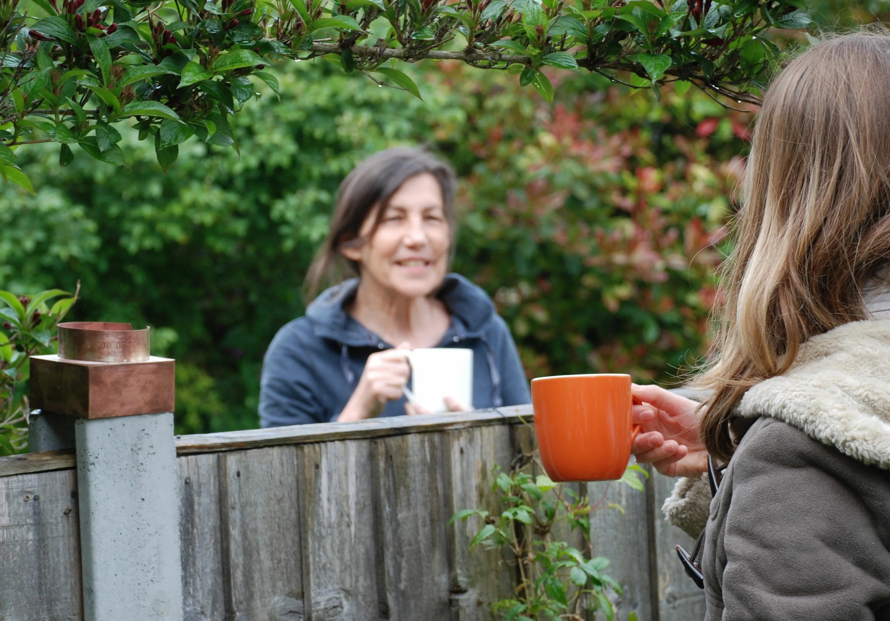 Meeting the neighbours
