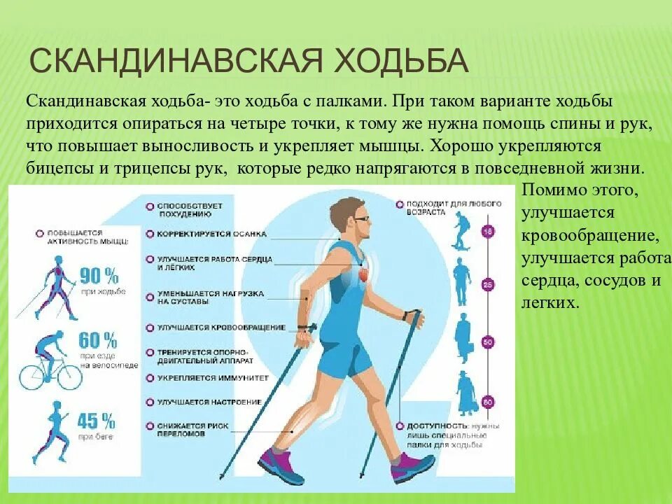 Облегчить ходьбу. Скандинавская ходьба. Техника скандинавской ходьбы. Ходьба с палками. Занятия скандинавской ходьбой.