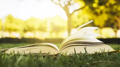 Открытая книга 6