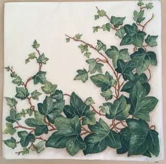 Плющ картина