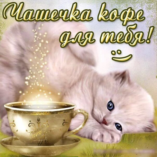 Доброе утро котик мужчине
