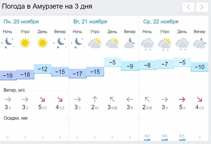 Какая погода 20 21. Погода в Биробиджане. Пагода. Погода на ноябрь. Погода в Биробиджане сегодня.