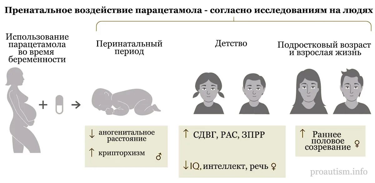 Можно ли парацетамол при беременности 1 триместр. Парацетамол и беременность. парацетамол во время беременности 1 триместр. токсические влияние парацетамола на плод. парацетамол влияет на женскую репродуктивную.