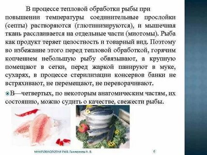 Тепловая обработка рыбы