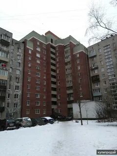 Колпино 42