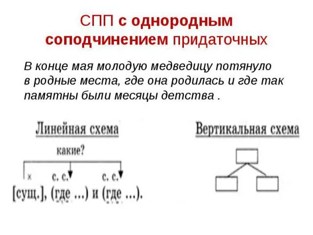 Пушкин сложноподчиненное предложение. Предложения с однородным соподчинением. СПП С однородным соподчинением. Предложения с однородным соподчинением придаточных. Сложноподчиненное предложение с однородным соподчинением.