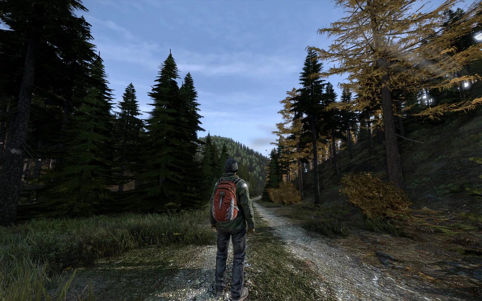 Купить игру dayz. Day z игра. Игра DAYZ Standalone. Дэйзи стэндэлон. DAYZ скрины.