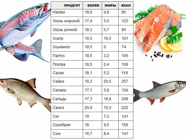 Энергетическая ценность рыбы таблица. Пищевая ценность рыбы в 100 граммах. Рыба красная форель 100 грамм. Красная рыба калорийность на 100 грамм форель.
