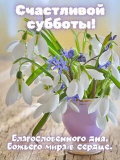 Доброго благословенного весеннего утра картинки