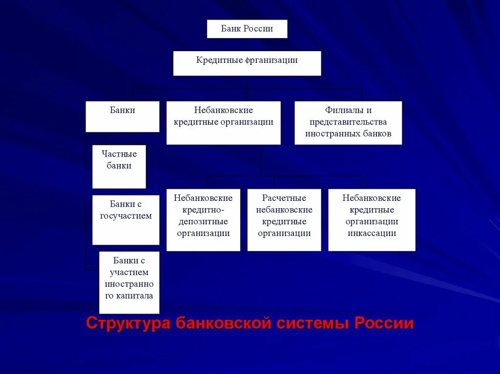 Роль государственных банков. Представительства иностранных банков. Банки и небанковские кредитные организации. Структура банковской системы России. Расчетные небанковские кредитные организации.