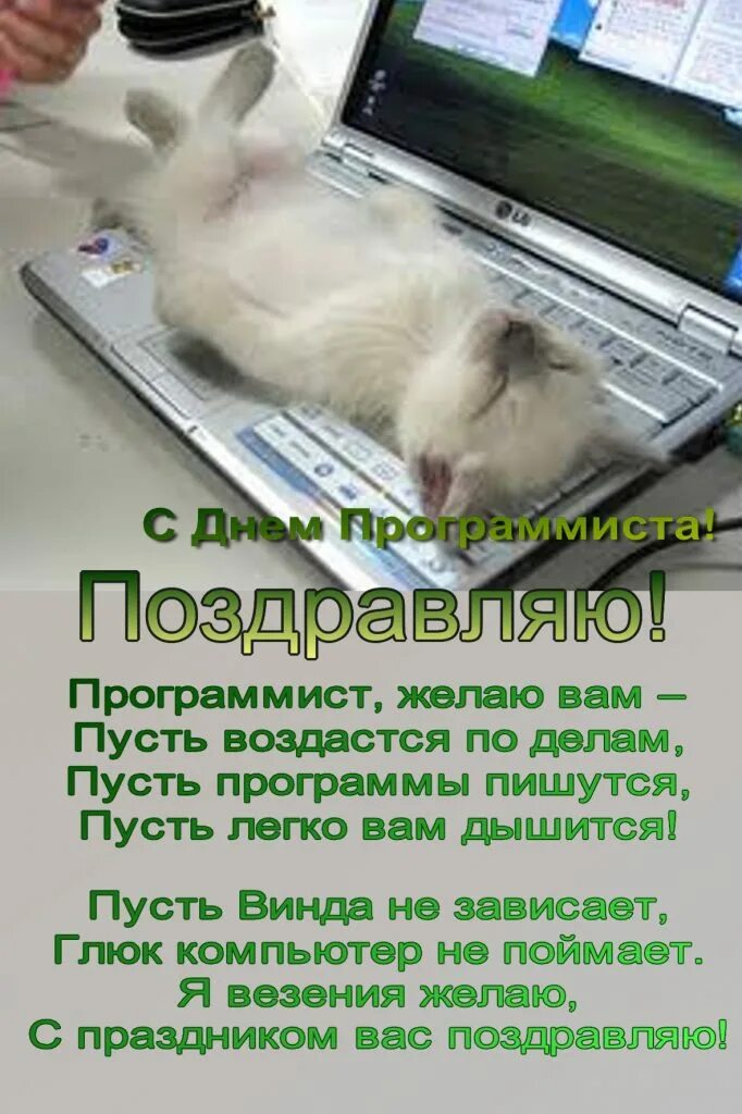 С днем программиста прикольные. День программиста. поздравление с днем программиста. поздравление с днём програмиста. день программиста открытки.